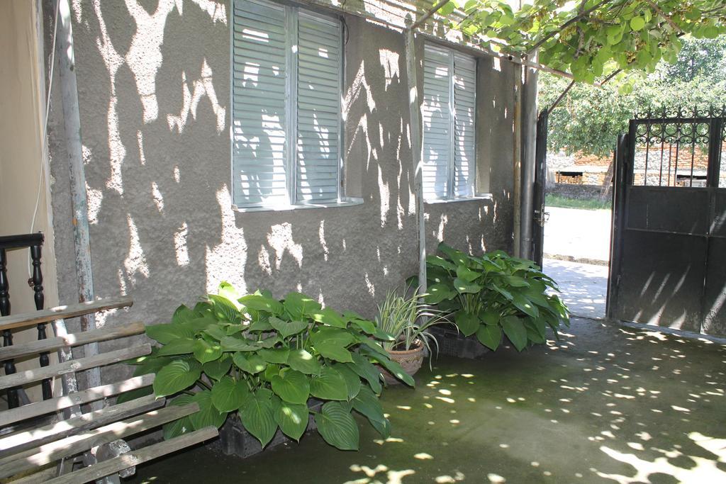 The Kiwi House Hotel Lagodekhi Exterior photo
