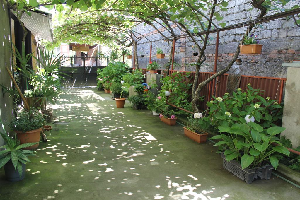 The Kiwi House Hotel Lagodekhi Exterior photo